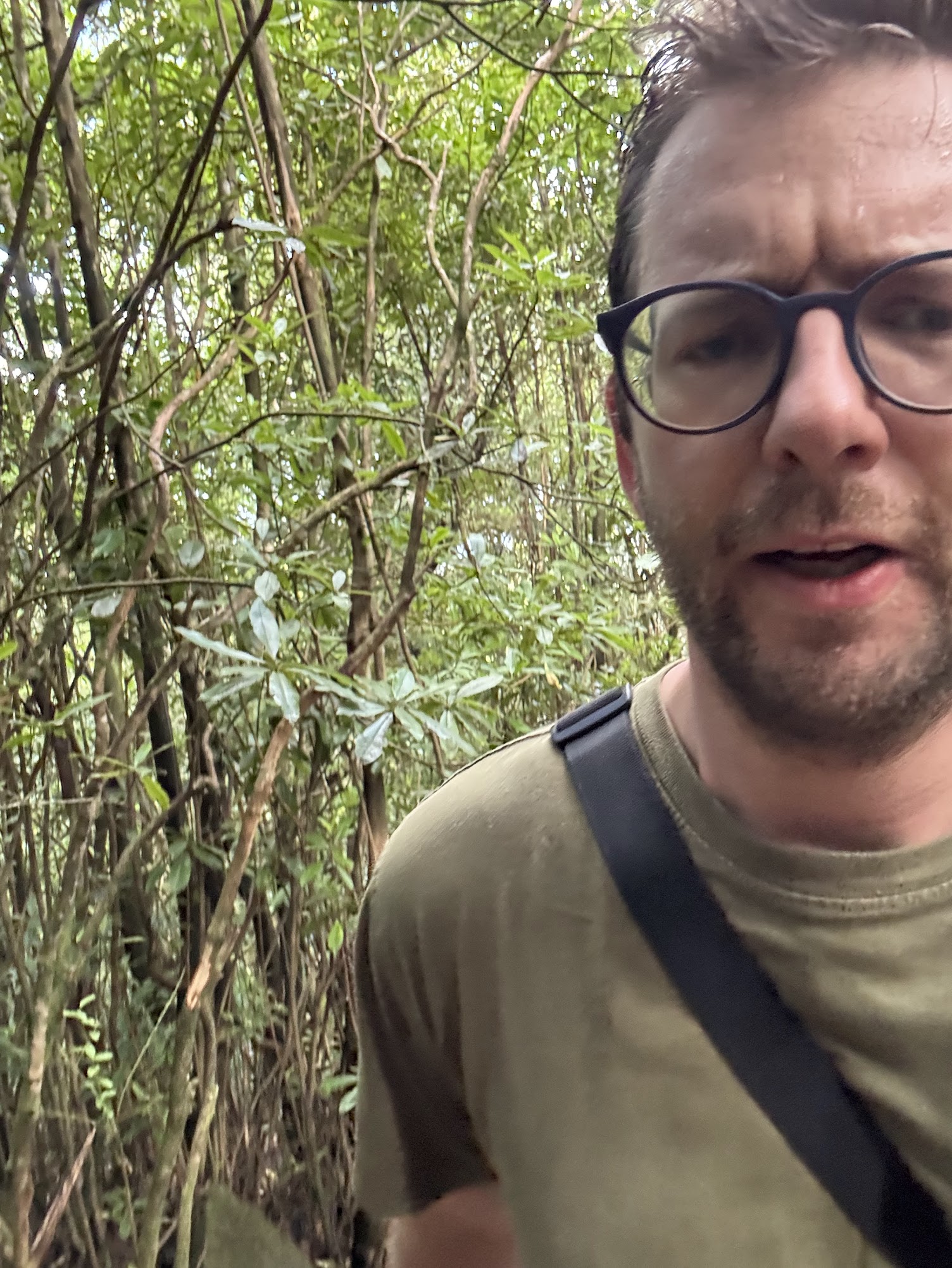 Paul Nunnerley smiling while hiking through greenery
